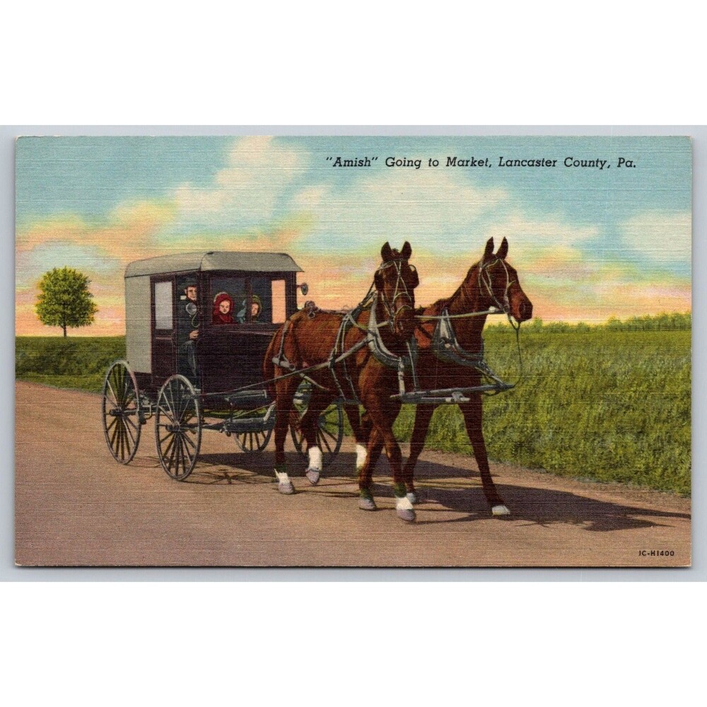 Vintage Amish Going to Market Lancaster County PA Linen Postcard 1941 Curt Teich